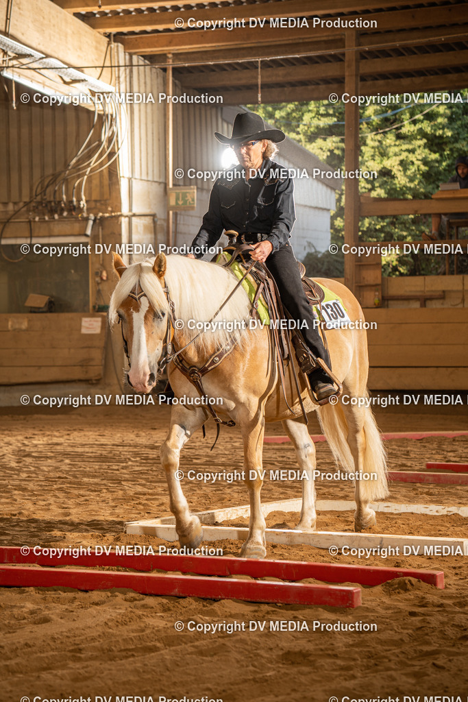 NID02541 | dv-media-shop - Realisiert mit Pictrs.com