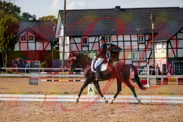 2026_10_03_Siefer-Hof_132125_Z63_82720528 | Professionelle Reitsport-, Turnier- und Eventfotografie von Robert Broda. Galerien mit ausgewählten und bearbeiteten Bildern direkt online ansehen und bestellen.