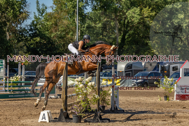 26-8-9 SPR L-103 | mandyhollmannphotographie