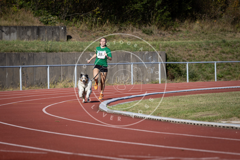 Pfotenfotografie_DV3A9331 | Hundefotografie, Tierfotograf, Pfotenfotografie, Fotoshooting Hund, Hunde Portrait, Hundesport, Hundeportraits, Heideshooting, Hunde, Sportfotograf, Hundefotograf, Turnierhundsport, THS,  - Realisiert mit Pictrs.com