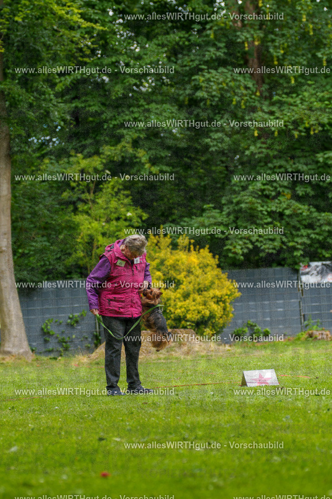 @allesWIRTHgut_Tierfotografie - www.allesWIRTHgut.de - 131011-7R509884 | Professionelle Tierfotografie in Mönchengladbach von Daniel Wirth (allesWIRTHgut). Liebevolle & natürliche Bilder von Hunden & Katzen für unvergessliche Erinnerungen.