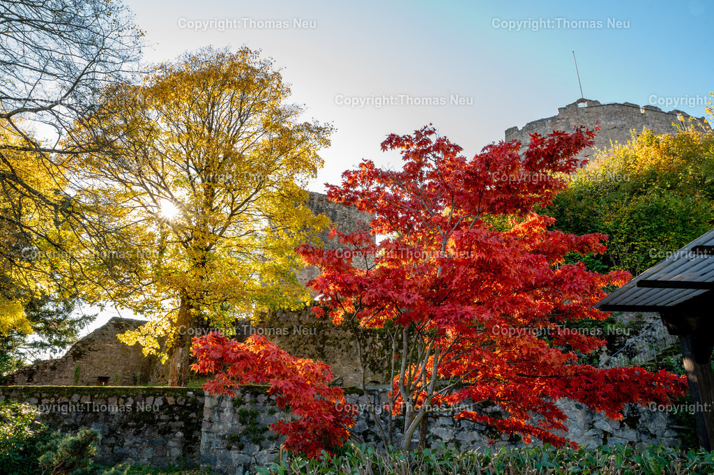 DSC_7756 | Lindenfels, Wen man vom goldenen Oktober spricht dann meint man solche perfekte Tage  hier ein Bild vom herbstlich gefärbten Lindenfelser Kurgarten, im Hintergrund die Burg, der gioldene Oktober ,, Bild: Thomas Neu
