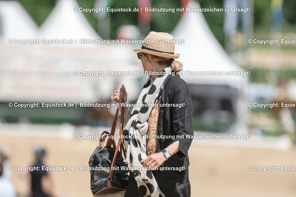 DSC_7755 | equistock