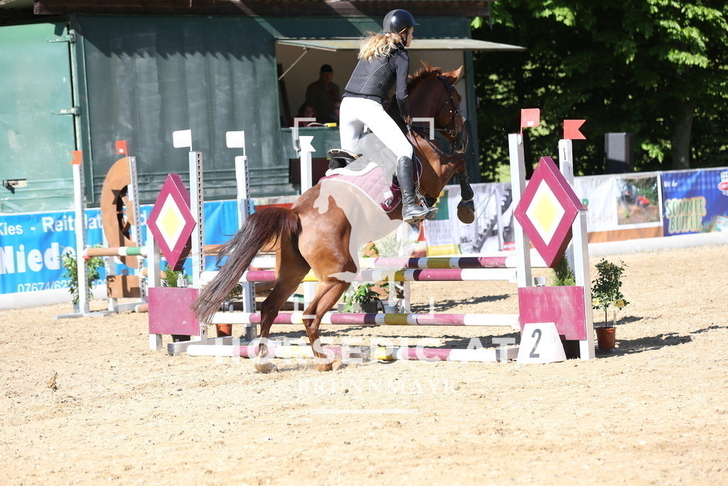 DL2Q0427 | Willkommen bei Brunnmayr - Design & Fotografie – Ihrem Spezialisten für Reitturniere und Pferdeveranstaltungen in Oberösterreich, Salzburg und Bayern! Seit über 17 Jahren sind wir leidenschaftlich dabei.