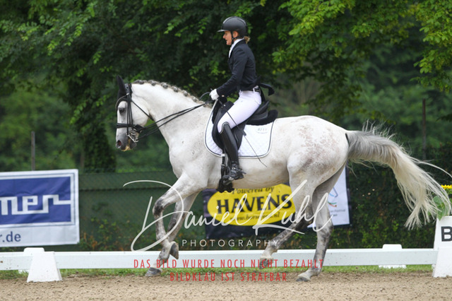 DKP40048 | Turniersportfotografie; Pferdefotografie; Dressurfotografie