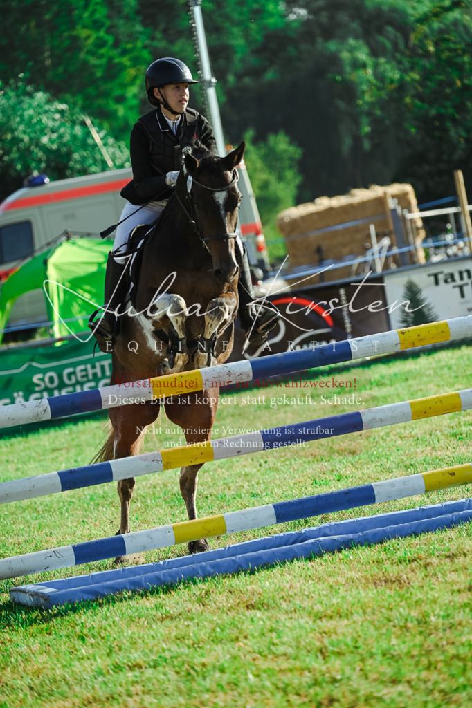 DSC_4487 | Pferde- und Turnierfotografie in Westsachsen. Pferdeportraits, Auftragszeichnungen und intuitive Kunst.