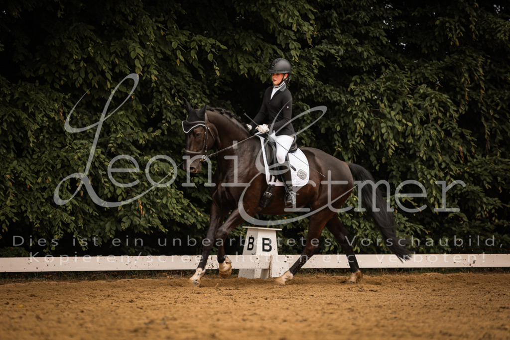 DoDrE00219 | Leoni Ertmer Photography - Realisiert mit Pictrs.com