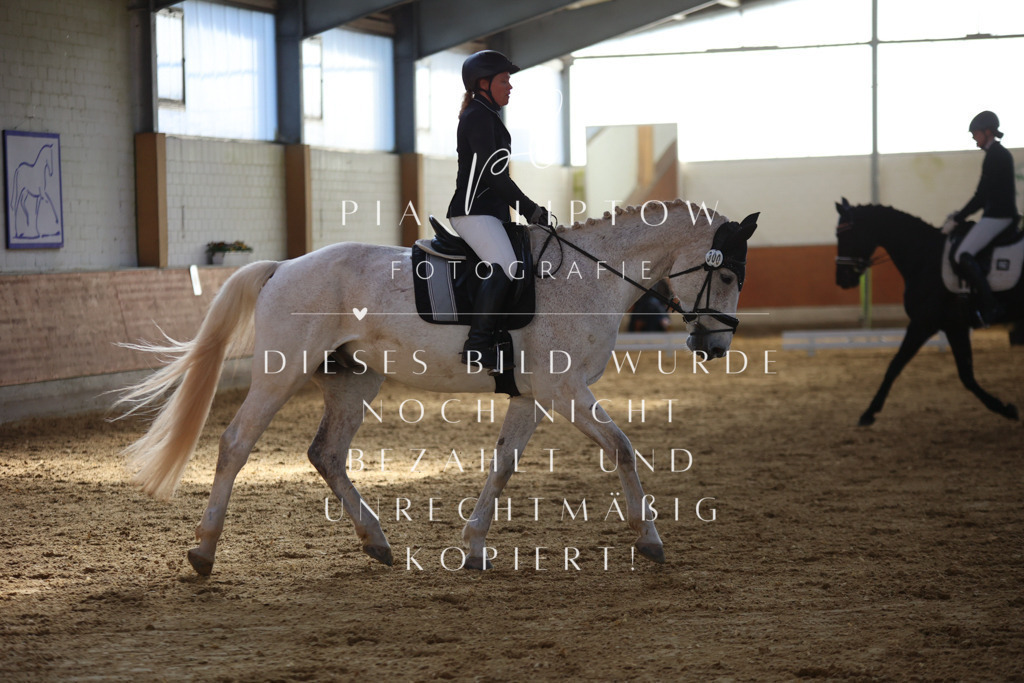 IMGT6478 | pl-fotografie