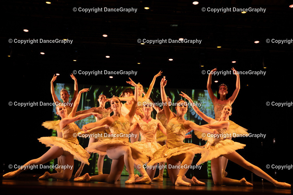 GPHY5310 | DanceGraphy - Realisiert mit Pictrs.com