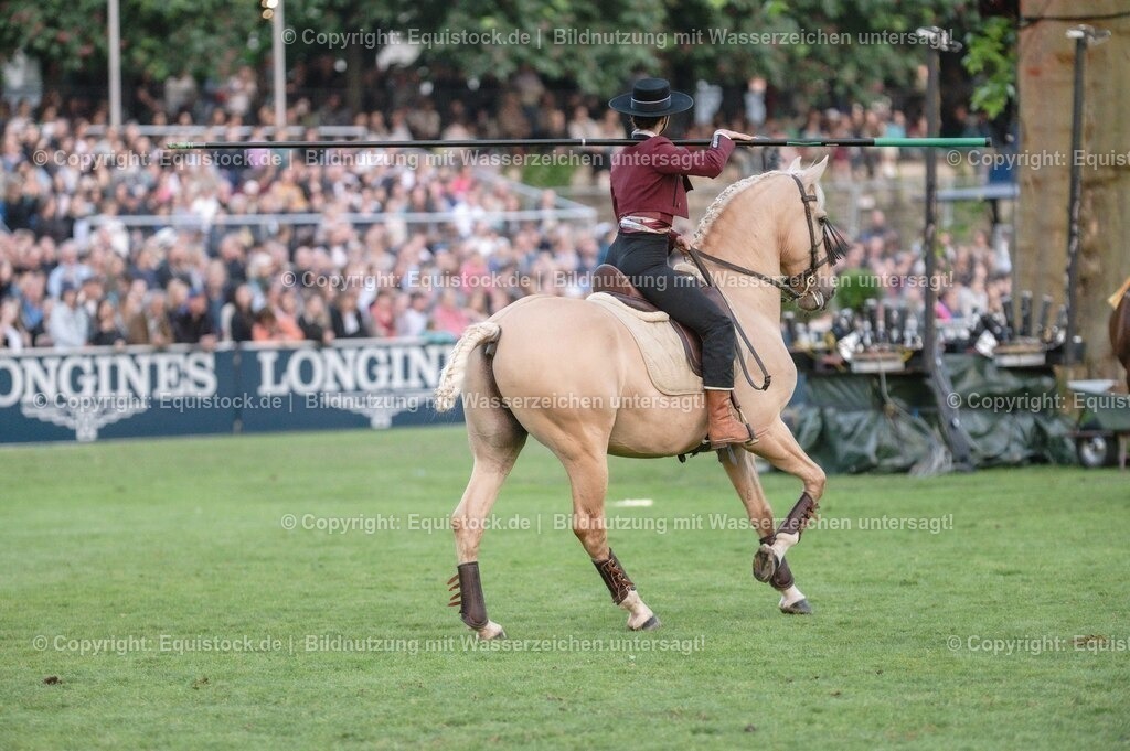 20230526_Pferdenacht_0680 | equistock