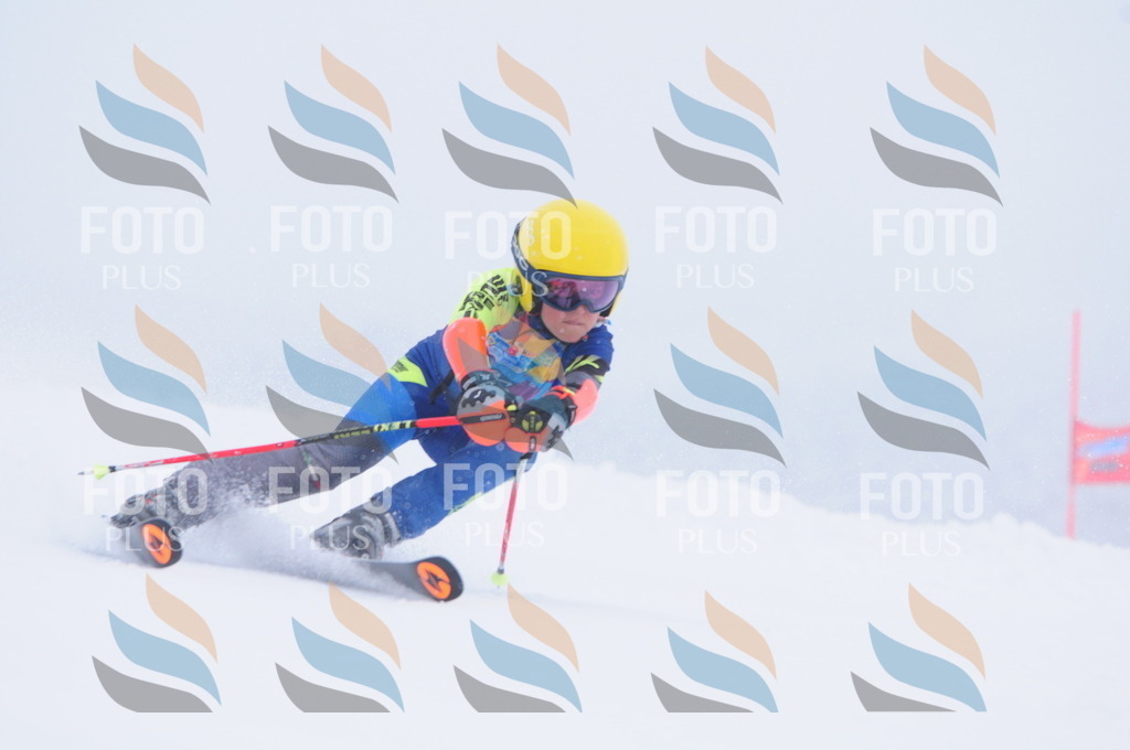 C2235 | holidayphoto