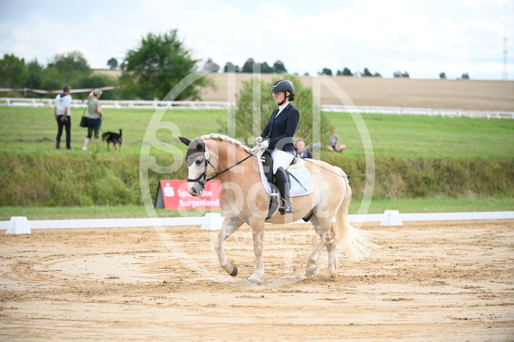 DSC_7369 | sattelsport - Realisiert mit Pictrs.com