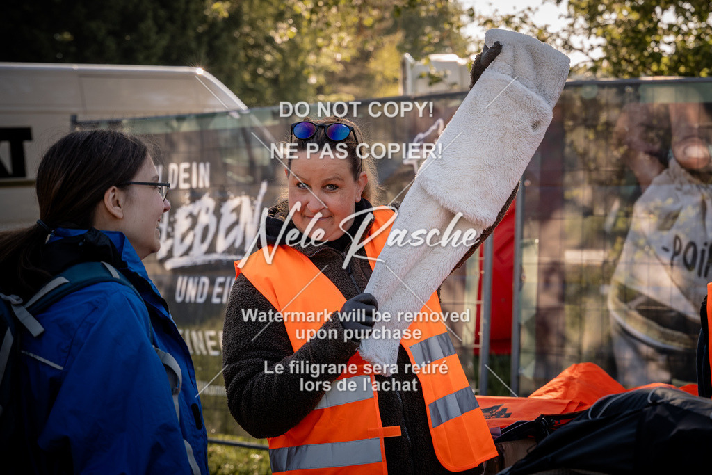 nelerasche_SaCheckIn_125 | nelerasche