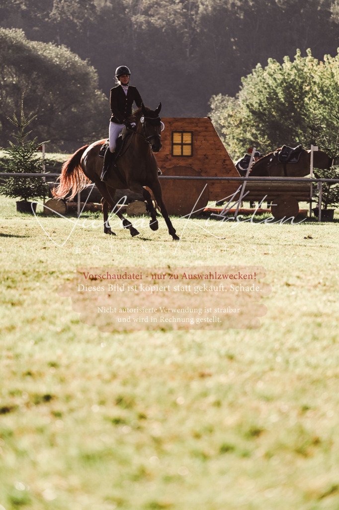 DSC_4572 | Pferde- und Turnierfotografie in Westsachsen. Pferdeportraits, Auftragszeichnungen und intuitive Kunst.