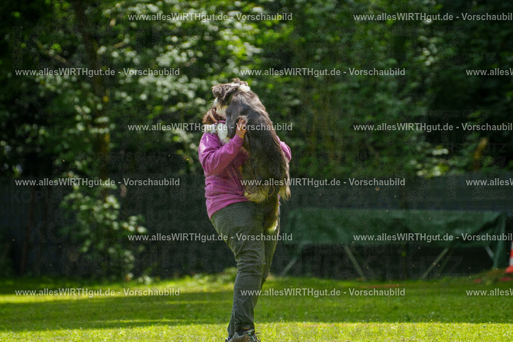 @allesWIRTHgut_Tierfotografie - www.allesWIRTHgut.de - 7R504961 | Professionelle Tierfotografie in Mönchengladbach von Daniel Wirth (allesWIRTHgut). Liebevolle & natürliche Bilder von Hunden & Katzen für unvergessliche Erinnerungen.