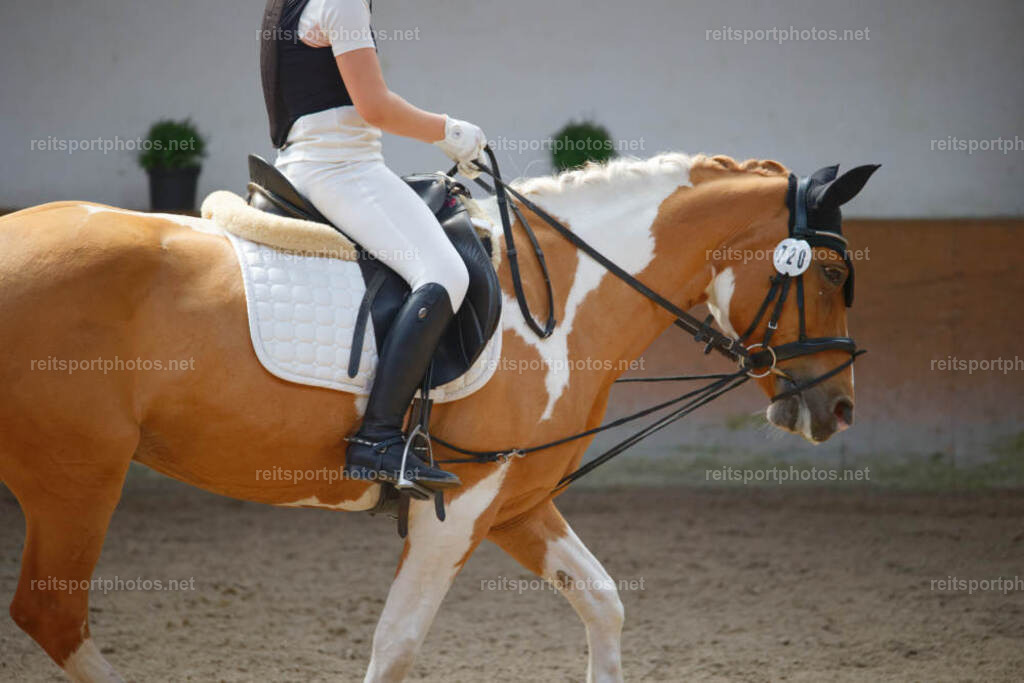JHE_5305 | JoYa Fotografie - Realisiert mit Pictrs.com