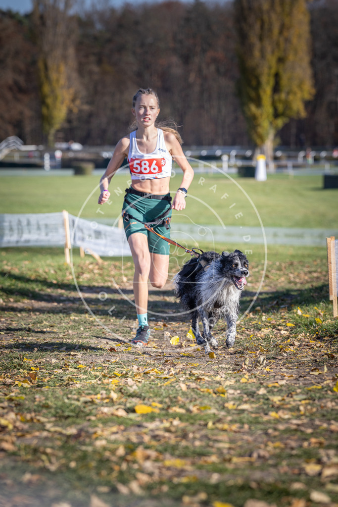 CaniXpix_DV3A9149 | Hundefotografie, Tierfotograf, Pfotenfotografie, Fotoshooting Hund, Hunde Portrait, Hundesport, Hundeportraits, Heideshooting, Hunde, Sportfotograf, Hundefotograf, Turnierhundsport, THS,  - Realisiert mit Pictrs.com