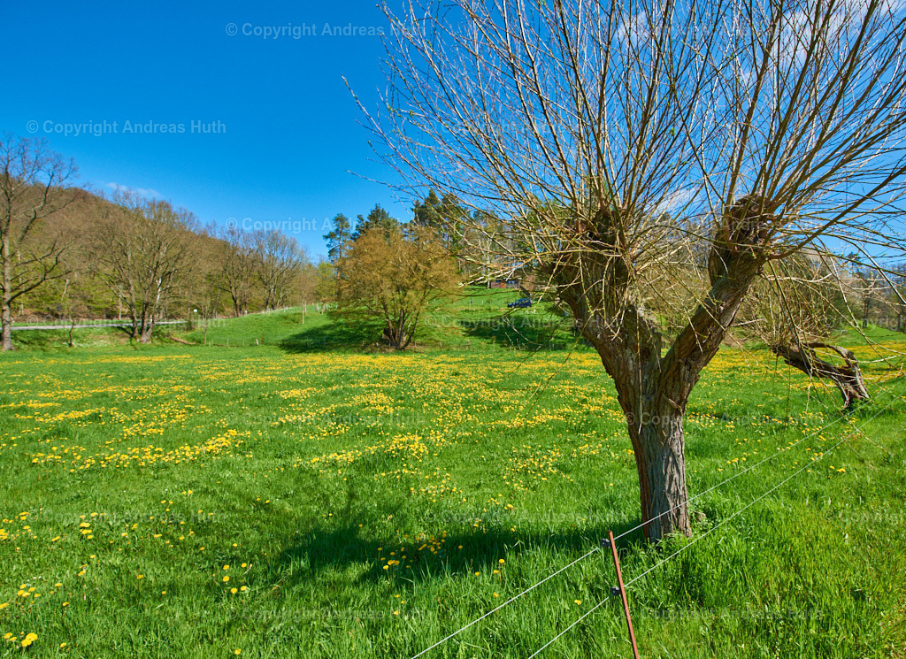 Im Triebischtal bei Neutanneberg 01 | Bedeutsame Landschaften Deutschlands - Realisiert mit Pictrs.com