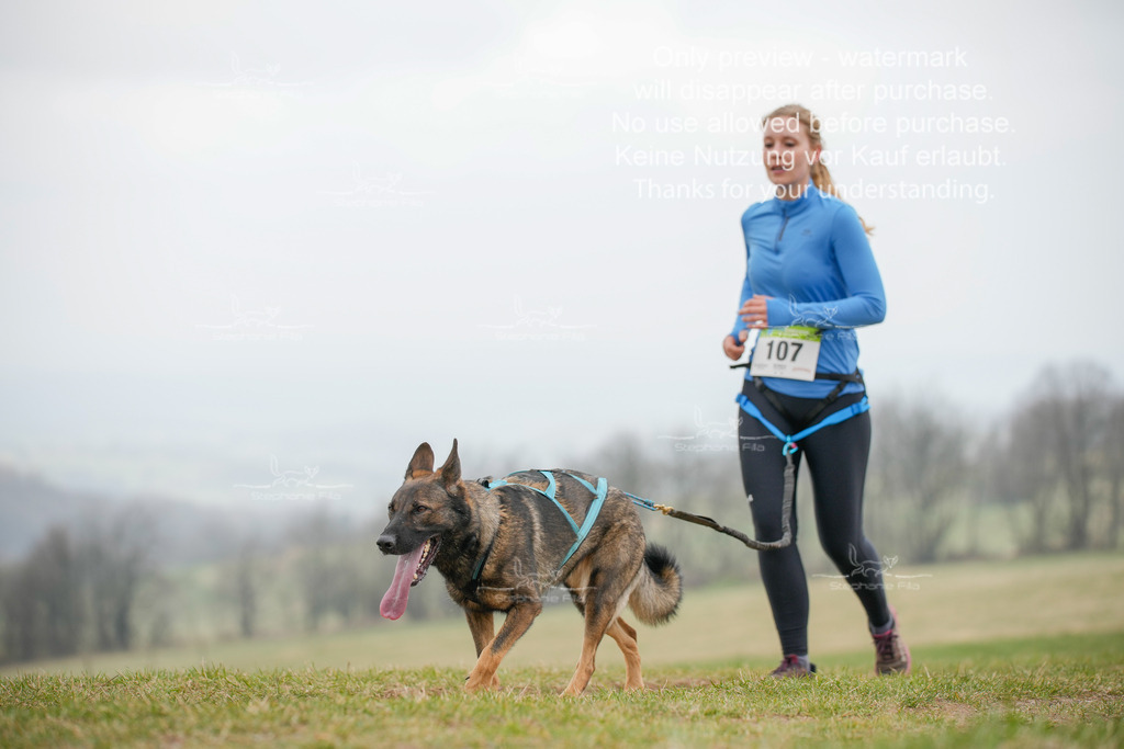 Canixlong-417 | stephaniefillaphotographie - Realisiert mit Pictrs.com