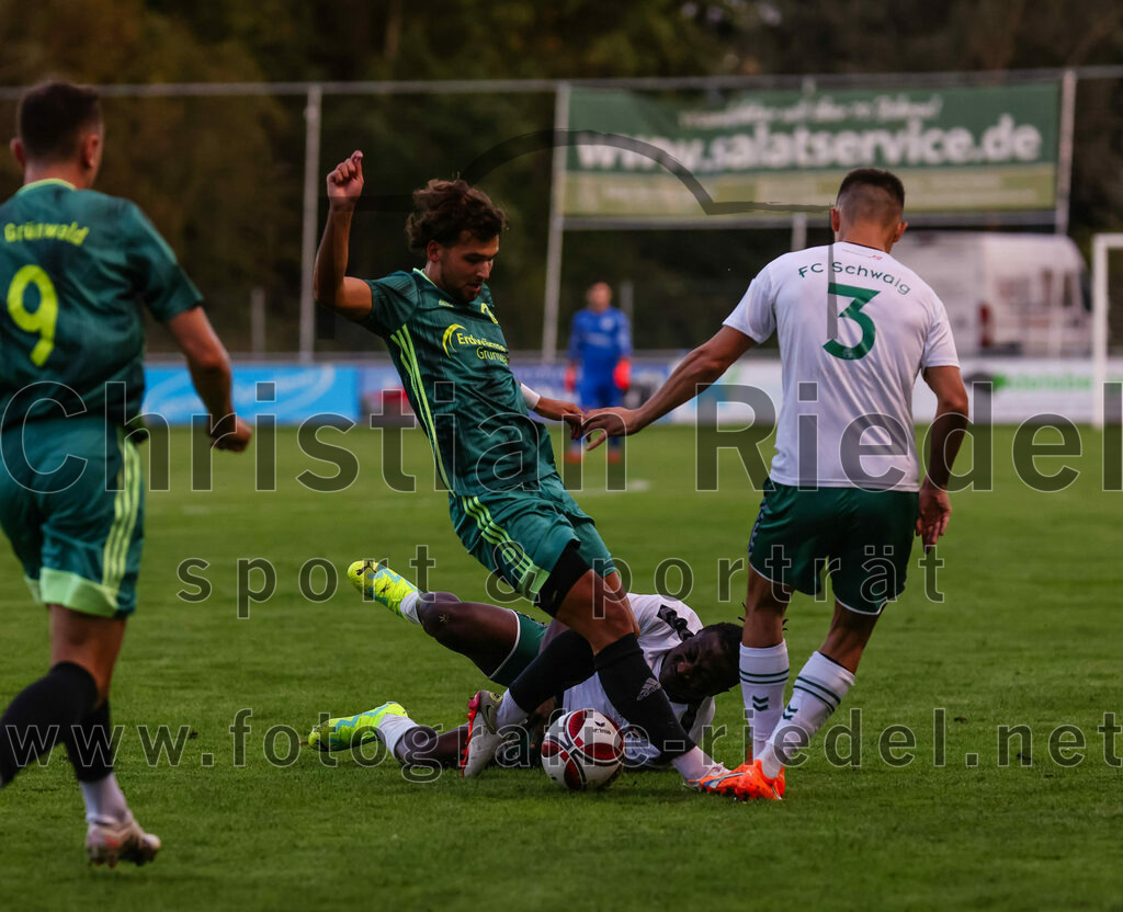 2023-09-01_024_FC_Schwaig_gegen_TSV_Gruenwald | Oberding, Deutschland, 01.09.2023:
Fußball, Landesliga Südost 2023 / 2024, 9. Spieltag, FC Schwaig gegen TSV Grünwald, Endergebnis: 3:1

David Halbich (TSV Grünwald, #10), Bilal Ibrahim (FC Schwaig, #6), Roman Mavdryk (FC Schwaig, #3)

Foto: Christian Riedel / fotografie-riedel.net