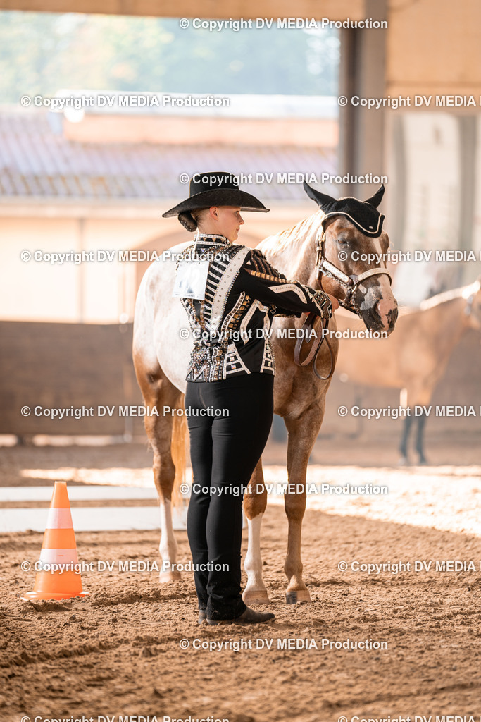 LM Heiligenwald Tag 1-48 | dv-media-shop - Realisiert mit Pictrs.com