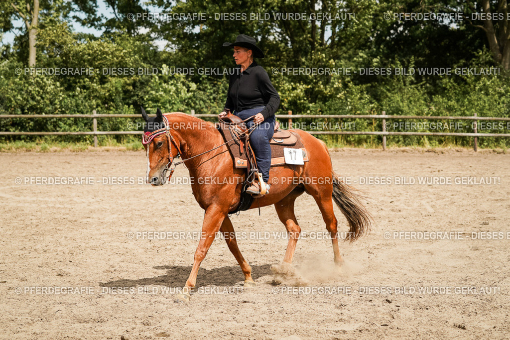 DSC00594 | Pferdegrafie