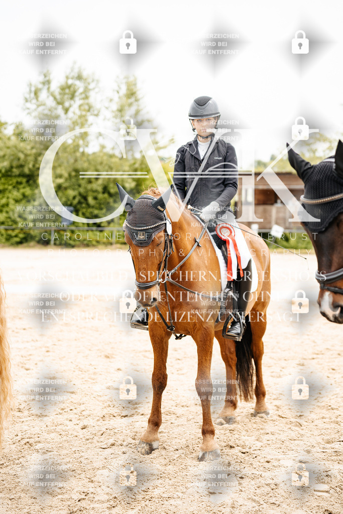 CK703670 | Turnierfotografie Pferdefotografie Trier Rheinland-Pfalz Pferdesport Reitsport Tierfotografie Sportfotografie Pferdevideo Pferdevideografie Equestrianvideography equestrianphotography  - Realisiert mit Pictrs.com