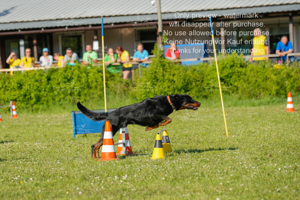 Sa_CSC-397 | stephaniefillaphotographie - Realisiert mit Pictrs.com