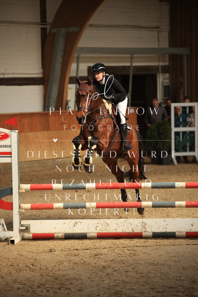 IMGT9627 | pl-fotografie