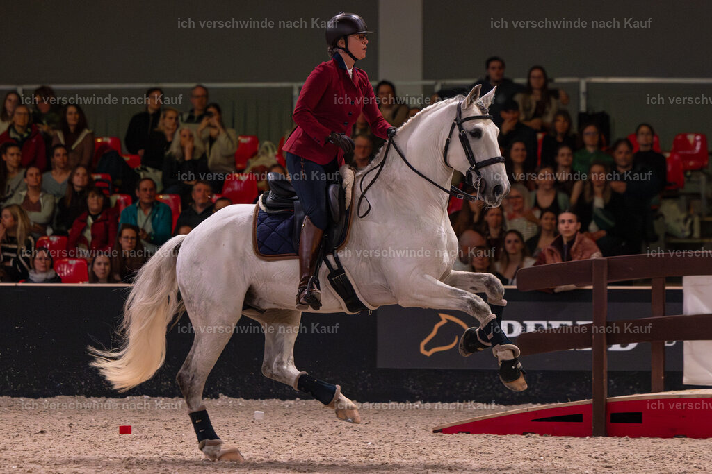 JoseraCup-169 | working equitationturnier fotograf videograf stoibphotography marixx film working equitation deutschland reitsport turnierfotografie eventfotografie equestrian events