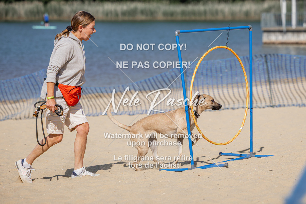nelerasche_saBeachility_203 | nelerasche