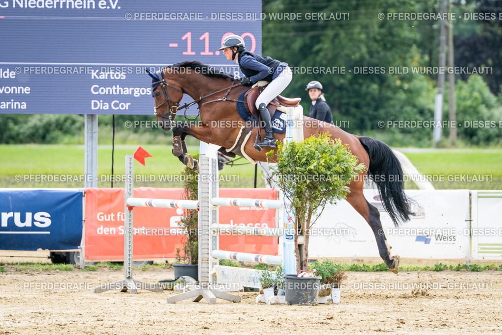 DSC05176 | Pferdegrafie