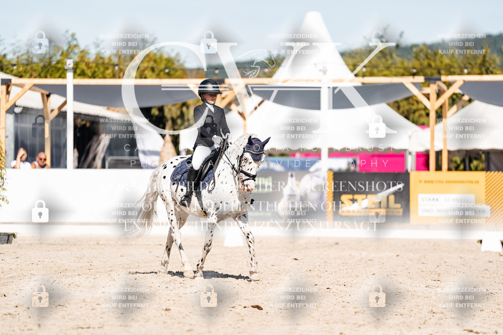 CK908589 | Turnierfotografie Pferdefotografie Trier Rheinland-Pfalz Pferdesport Reitsport Tierfotografie Sportfotografie Pferdevideo Pferdevideografie Equestrianvideography equestrianphotography  - Realisiert mit Pictrs.com