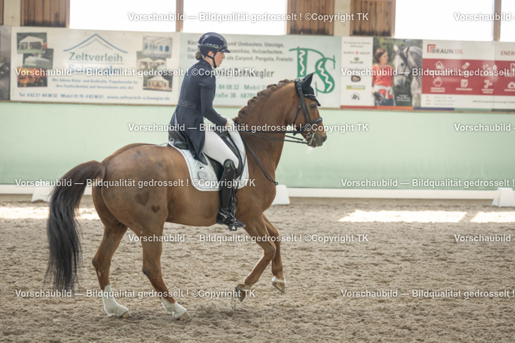 _D5A2460 | Emotionale Pferde- & People-Fotografie rund um Heidelberg, Leimen & Umgebung. Natürliche Fotos von Pferd, Mensch & Familie. Jetzt Termin sichern!