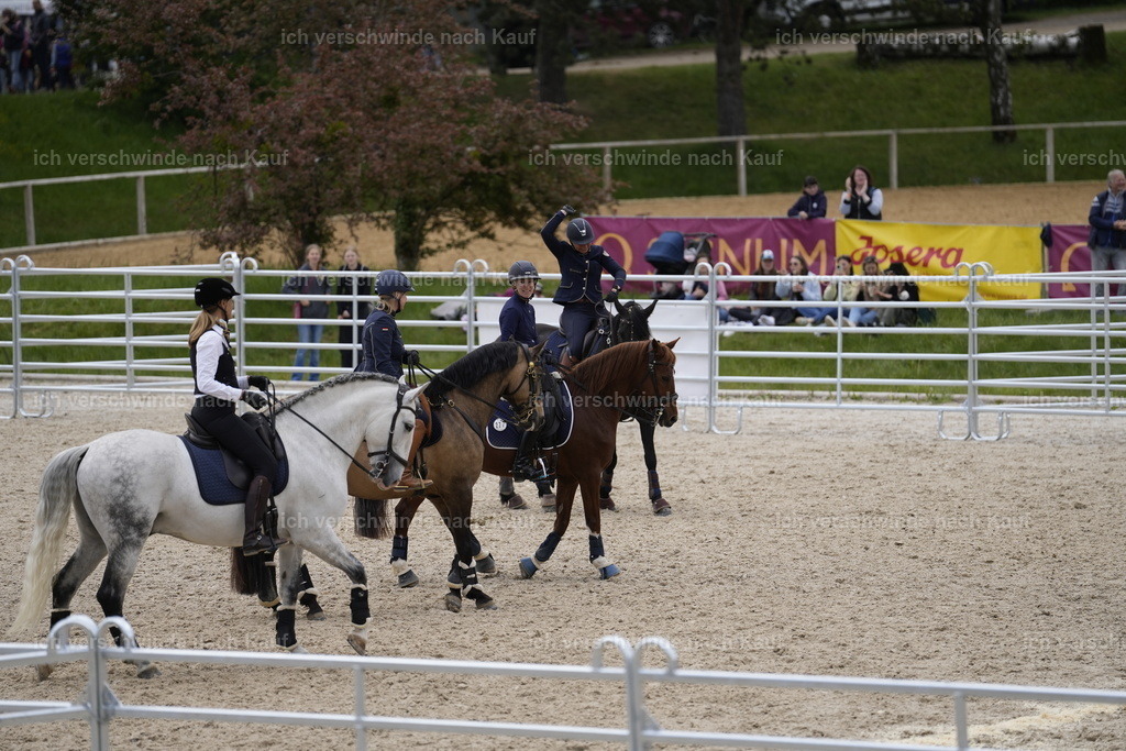 PI26_COW_Stoibphotography_A749564.JPG | working equitationturnier fotograf videograf stoibphotography marixx film working equitation deutschland reitsport turnierfotografie eventfotografie equestrian events