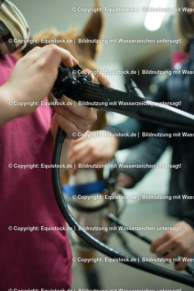 20170113_Endoskopie_0024 | Foto: Thomas Hartig