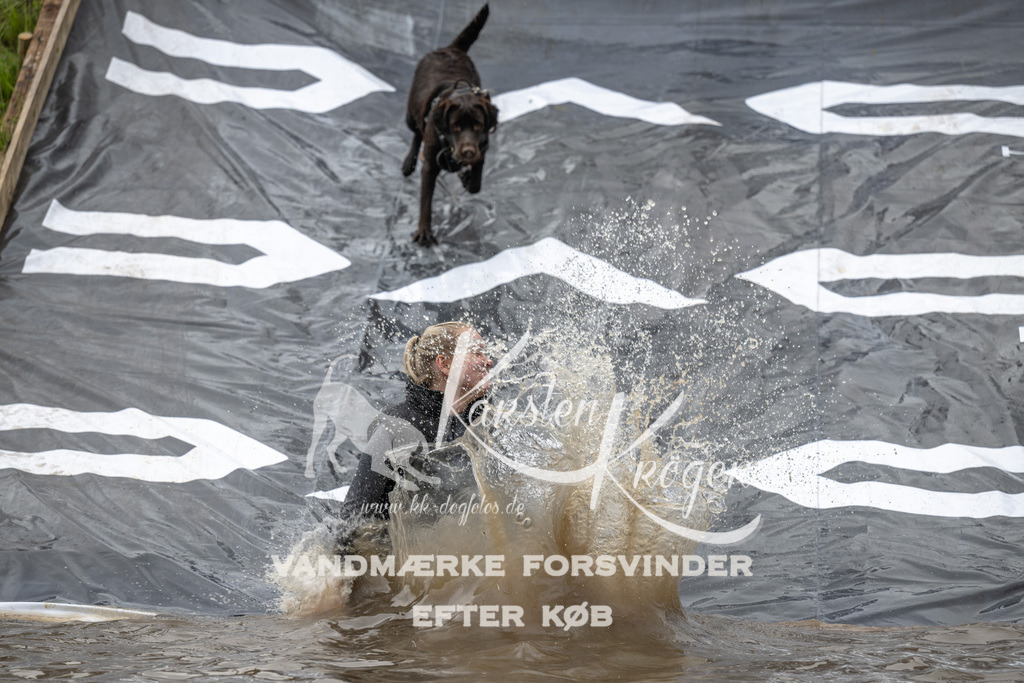 1559_ZZ91837 | kk-dogfotos