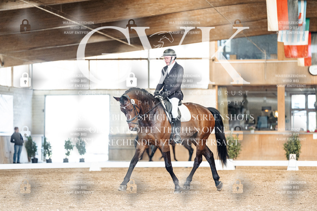 CK901254 | Turnierfotografie Pferdefotografie Trier Rheinland-Pfalz Pferdesport Reitsport Tierfotografie Sportfotografie Pferdevideo Pferdevideografie Equestrianvideography equestrianphotography  - Realisiert mit Pictrs.com