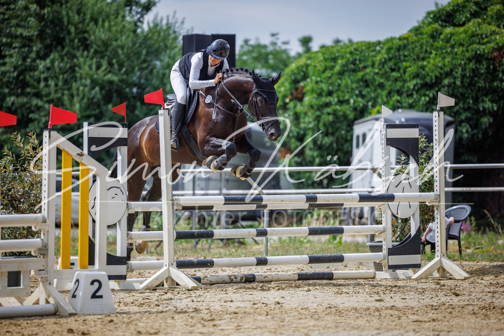 20260705-_3LI4398 | Tierfotografie Pferde, Hunde, Katzen, Haustiere.
Turnierfotografie Reitturniere, Reiten, Springreiten, Dressur in Hanau, dem Main-Kinzig-Kreis und dem Rhein-Main- Gebiet um Frankfurt