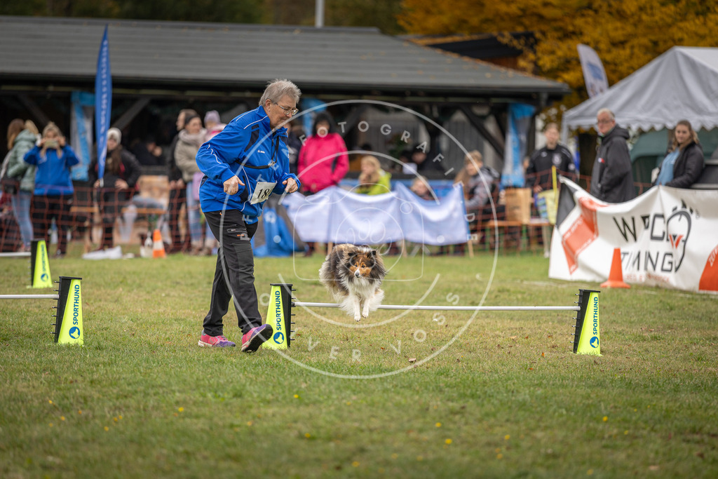 Pfotenfotografie_DV3A5085 | Hundefotografie, Tierfotograf, Pfotenfotografie, Fotoshooting Hund, Hunde Portrait, Hundesport, Hundeportraits, Heideshooting, Hunde, Sportfotograf, Hundefotograf, Turnierhundsport, THS,  - Realisiert mit Pictrs.com