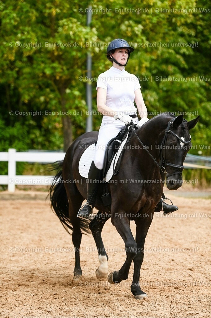 20230715_05_Dressurprüfung Kl.A++_0253 | equistock