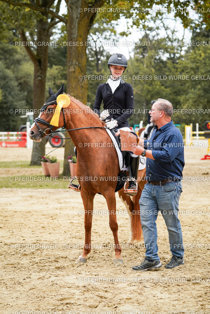 DSC06207 | Pferdegrafie