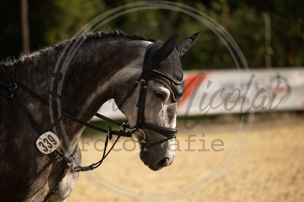 994A7048 | sabrinanicolaifotografie - Realisiert mit Pictrs.com