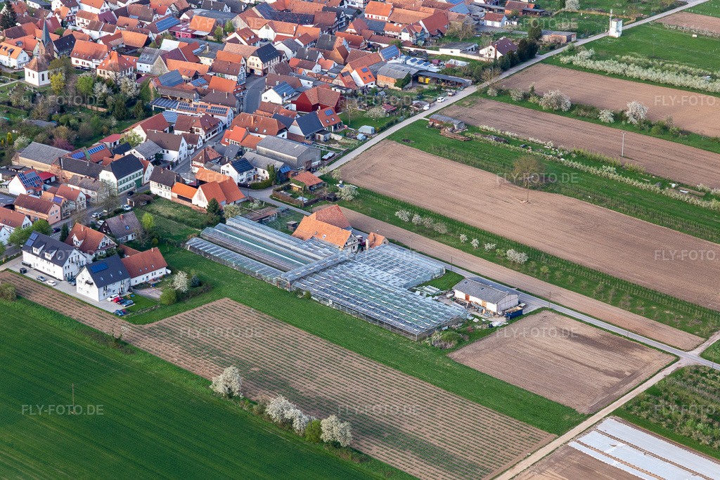 Luftbild: ehemalige Gärtnerei am Grasweg in Winden im Bundesland Rheinland-Pfalz in Deutschland. Foto: IMG_131225.jpg vom 12.04.2022 durch Werner Riehm/FLY-FOTO.de