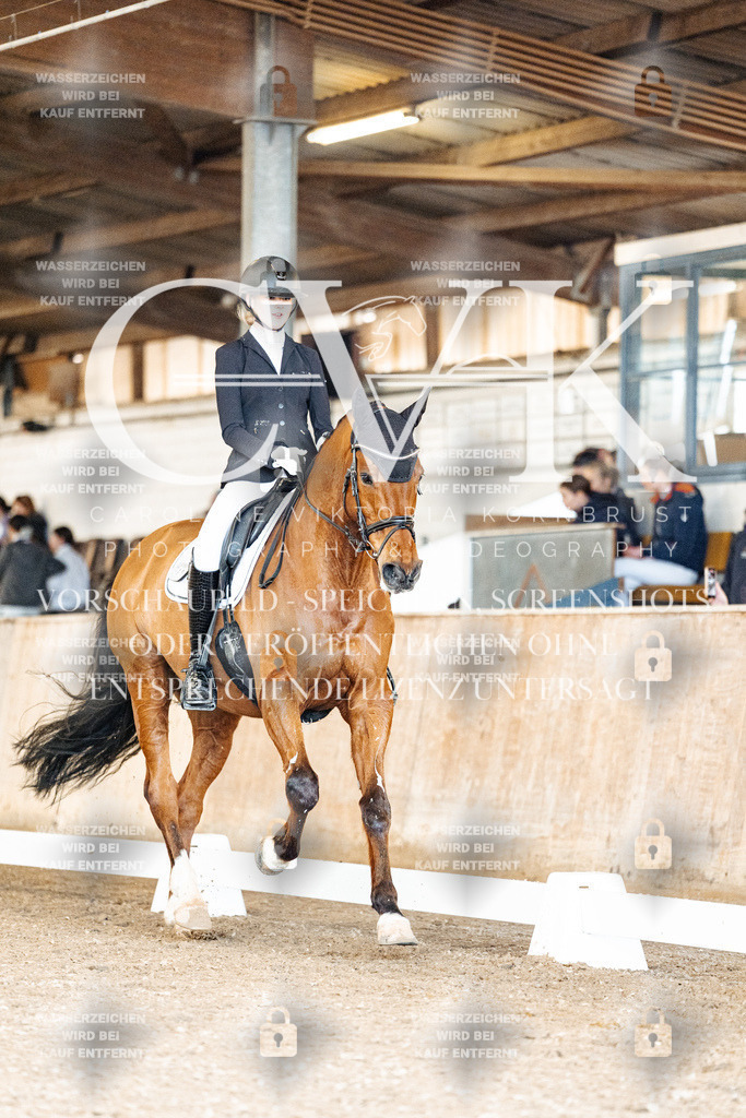 CK901080 | Turnierfotografie Pferdefotografie Trier Rheinland-Pfalz Pferdesport Reitsport Tierfotografie Sportfotografie Pferdevideo Pferdevideografie Equestrianvideography equestrianphotography  - Realisiert mit Pictrs.com