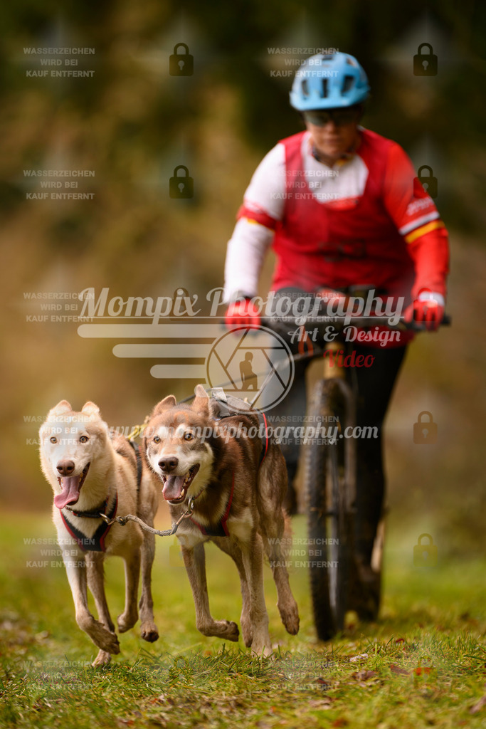 MompixPhotography_2SSTSSBW_2025_SO_Scooter-84 | PayLife