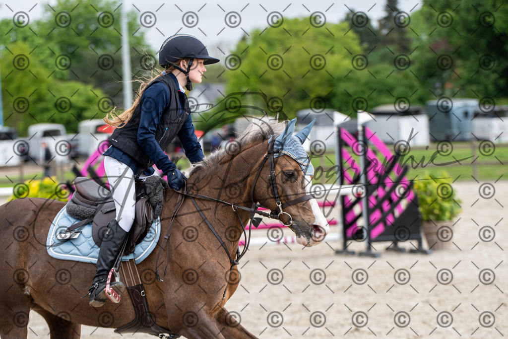 KPT_8074 | andre_photographic