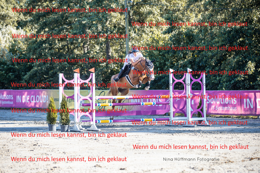 BK1A6089 | Turnierbilder Turnierfotos Nina Hüffmann Turnierfotografie Pferdefotografie Tierzeichnung Haustierzeichnung Pferdezeichnung Hundezeichnung Videograf  - Realisiert mit Pictrs.com