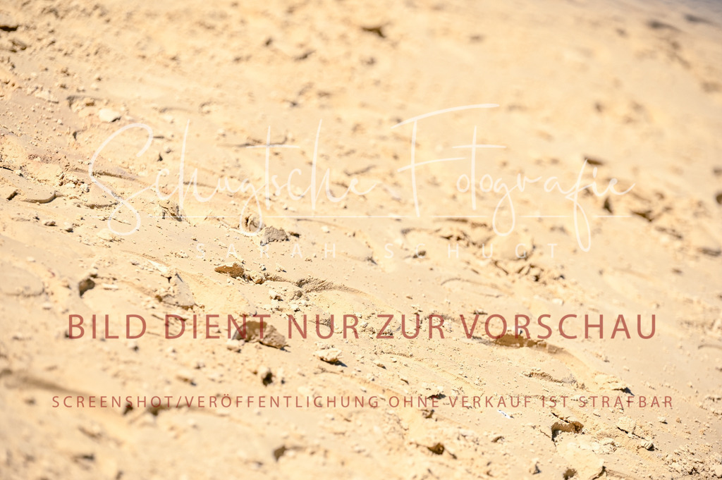 Schugtsche-Aluta25-50.Dressurpferdeprf.L-81 | Schugtsche Fotografie - Realisiert mit Pictrs.com