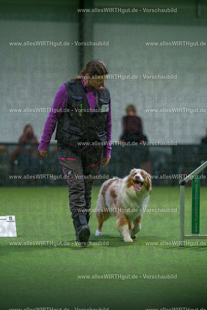 7R503900 | Professionelle Tierfotografie in Mönchengladbach von Daniel Wirth (allesWIRTHgut). Liebevolle & natürliche Bilder von Hunden & Katzen für unvergessliche Erinnerungen.